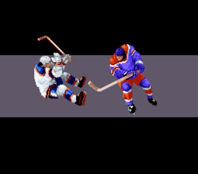 Screen ze hry Pro Sport Hockey