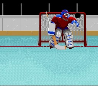 Screen ze hry Super Hockey