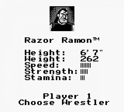Screen ze hry WWF King of the Ring