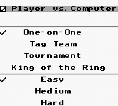 Screen ze hry WWF King of the Ring