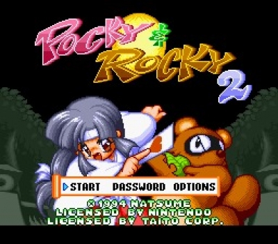 Screen ze hry Pocky & Rocky 2