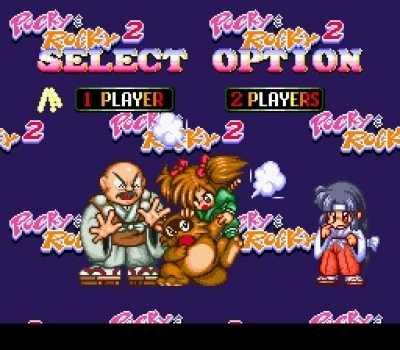 Screen ze hry Pocky & Rocky 2