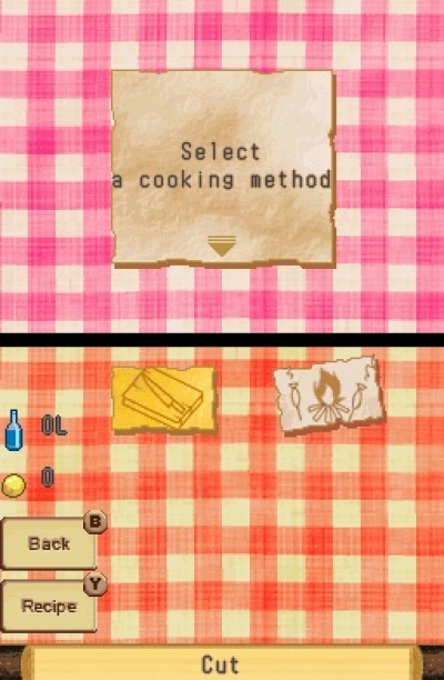 Screen ze hry Lost in Blue 2