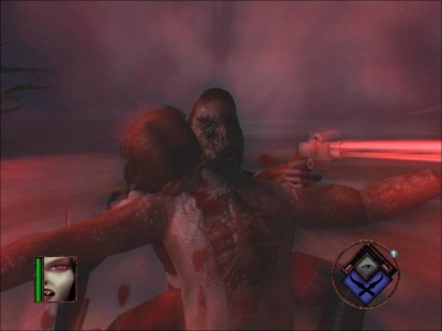 Screen ze hry BloodRayne