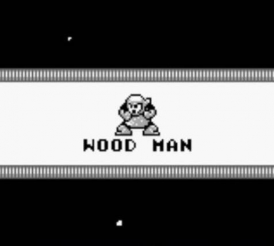 Screen ze hry Mega Man II