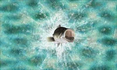Screen ze hry Reel Fishing Paradise 3D