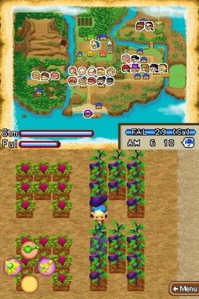 Screen ze hry Harvest Moon: Island of Happiness