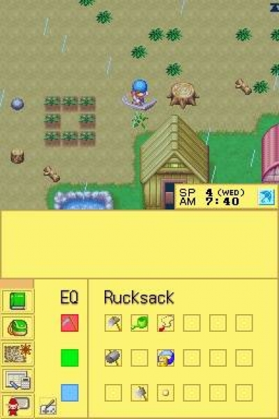 Screen ze hry Harvest Moon DS
