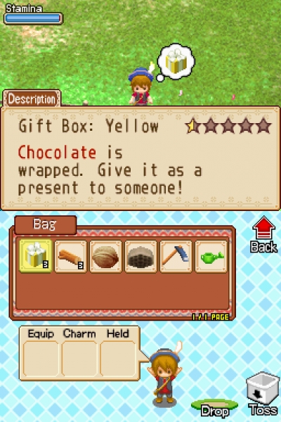 Screen ze hry Harvest Moon: Grand Bazaar
