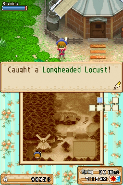 Screen ze hry Harvest Moon: Grand Bazaar