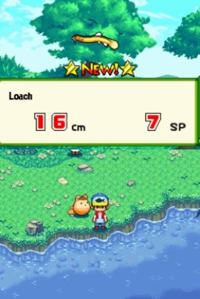 Screen ze hry River King: Mystic Valley