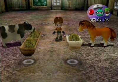 Screen ze hry Harvest Moon: Another Wonderful Life
