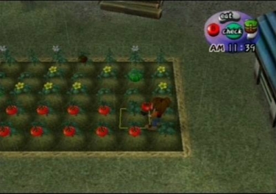 Screen ze hry Harvest Moon: Another Wonderful Life
