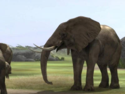 Screen ze hry Wild Earth: African Safari