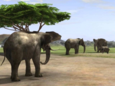 Screen ze hry Wild Earth: African Safari