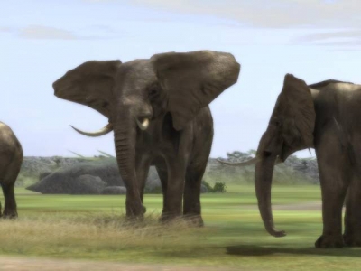 Screen ze hry Wild Earth: African Safari