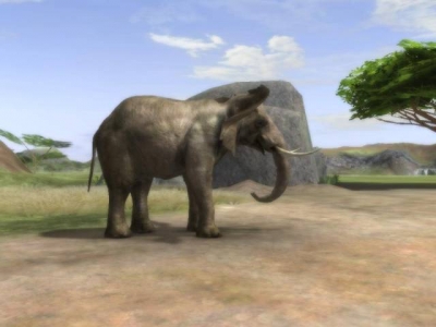 Screen ze hry Wild Earth: African Safari