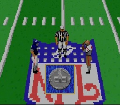Screen ze hry NFL Football