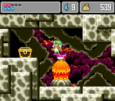 Screen ze hry Monster World IV