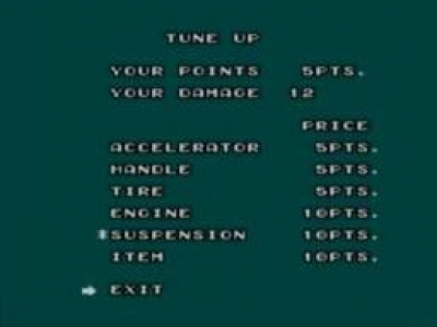 Screen ze hry Enduro Racer
