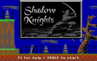 Screen ze hry Shadow Knights