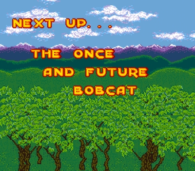Screen ze hry Bubsy II