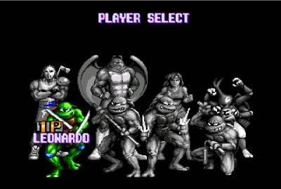 Screen ze hry Teenage Mutant Ninja Turtles: Tournament Fighters