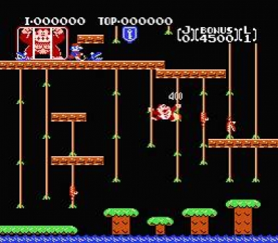 Screen ze hry Donkey Kong Jr.