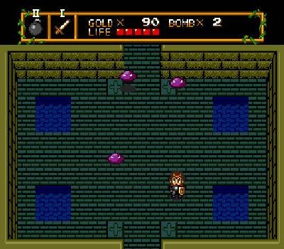 Screen ze hry Neutopia