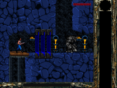 Screen ze hry Blackthorne