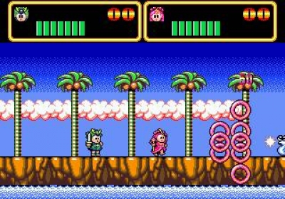 Screen ze hry Wonder Boy III