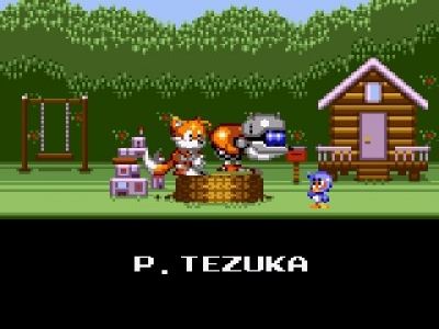 Screen ze hry Tails Adventure