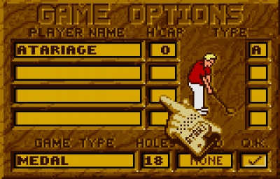 Screen ze hry Awesome Golf