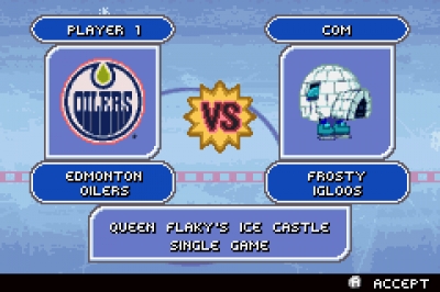 Screen ze hry Backyard Hockey