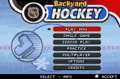 Screen ze hry Backyard Hockey