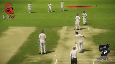 Screen ze hry Don Bradman Cricket