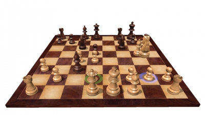 Screen ze hry Fritz Chess 14