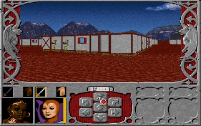 Screen ze hry Ravenloft: Strahd�s Possession