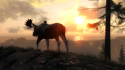 Screen ze hry TheHunter