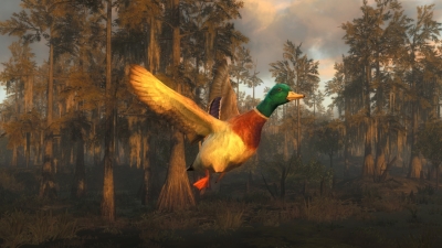 Screen ze hry TheHunter