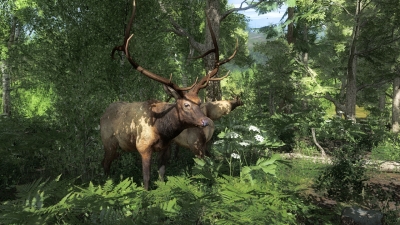 Screen ze hry TheHunter