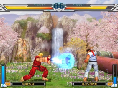 Screen ze hry Street Fighter Online: Mouse Generation