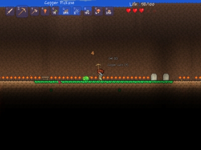 Screen ze hry Terraria