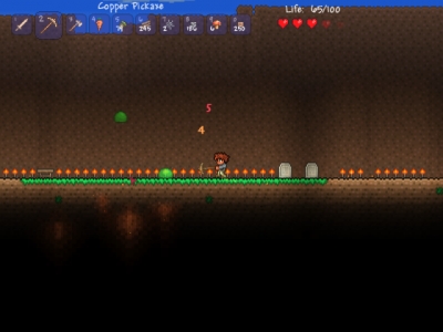 Screen ze hry Terraria