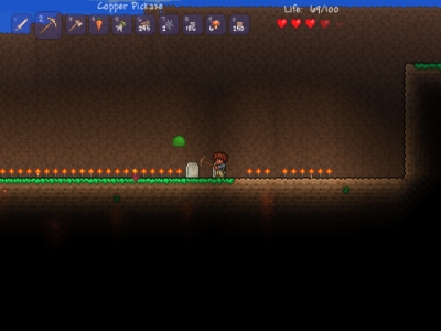Screen ze hry Terraria