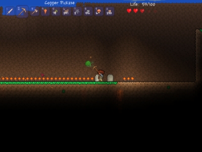 Screen ze hry Terraria