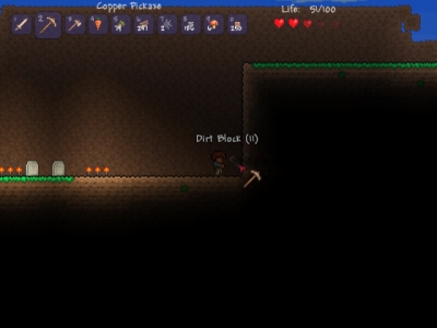 Screen ze hry Terraria