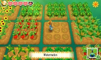 Screen ze hry Story of Seasons
