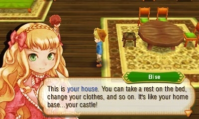 Screen ze hry Story of Seasons