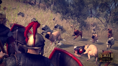 Screen ze hry Total War: ROME II - Beasts of War